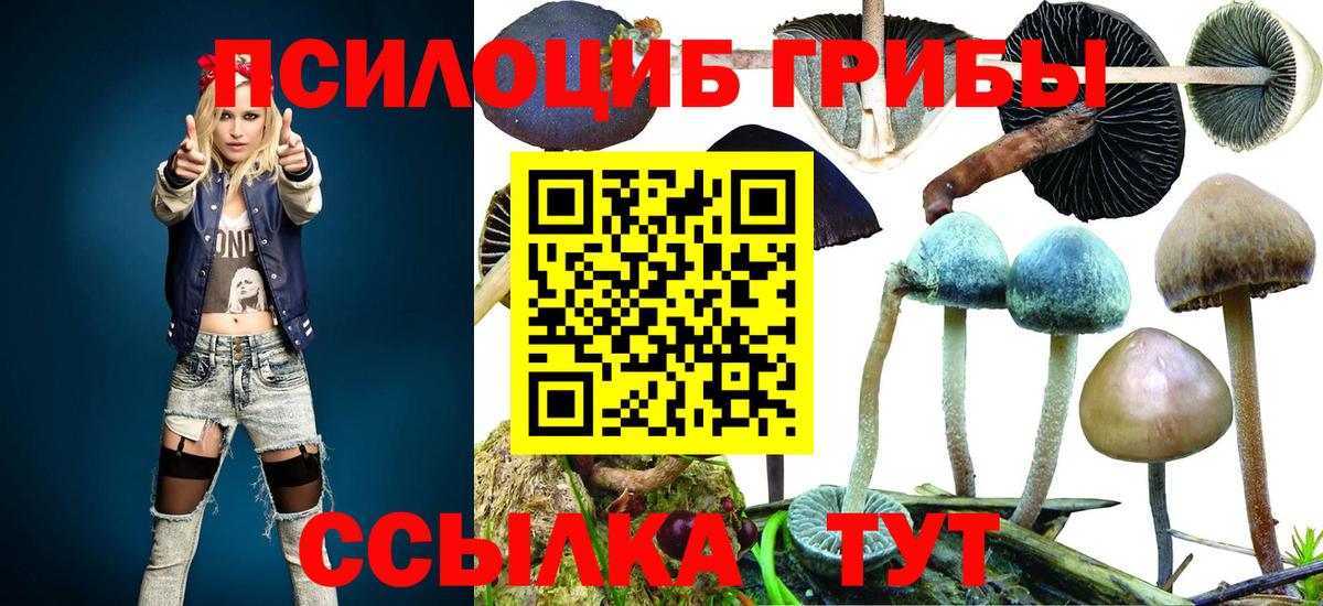 Галлюциногенные грибы Psilocybine cubensis  Вход с VPN  Кохма 
